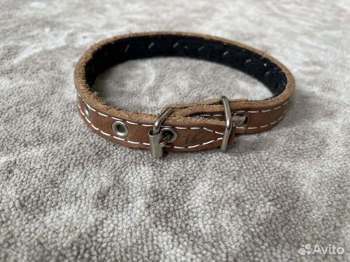 Ошейник миски для собак кошек аксессуары животных