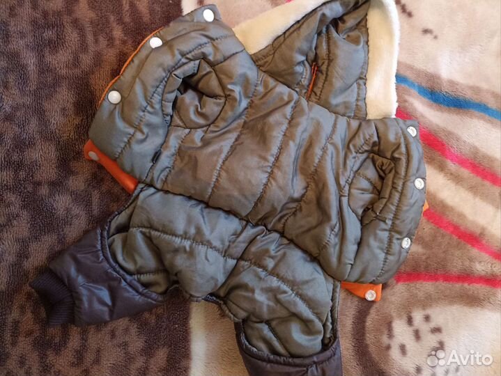 Одежда для маленьких собак