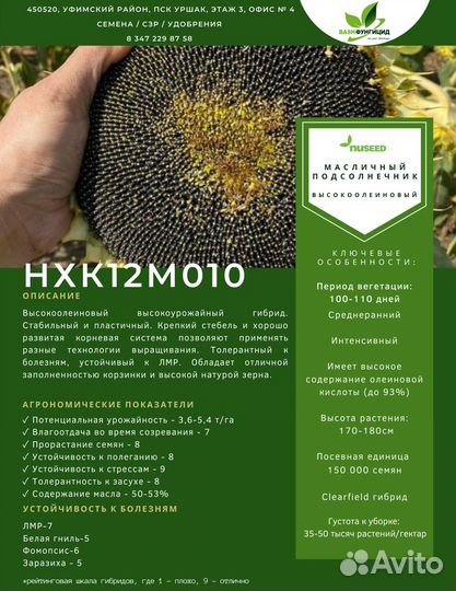 Cемена подсолнечника нхк12М010 (Nuseed)