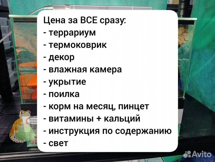 Террариум для эублефара 