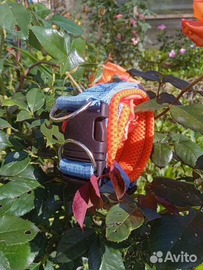 Ошейник для собак и кошек