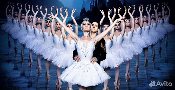 Билеты в большой театр. Лебединое озеро