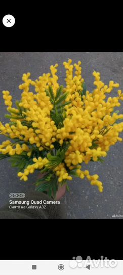 Заказ для Романа 5 букетов