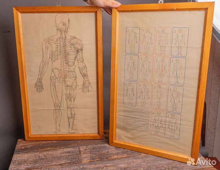 Медицинский плакат в рамке