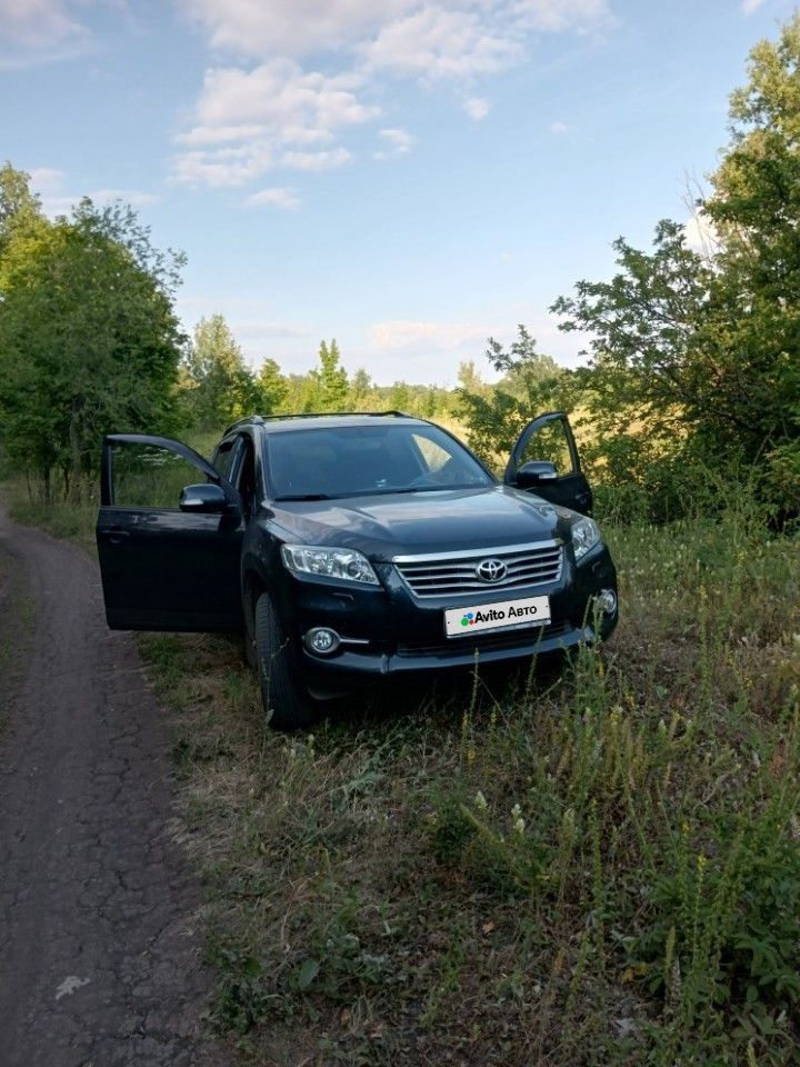 Toyota RAV4: фото владельца