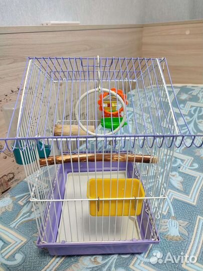 Клетка для попугая