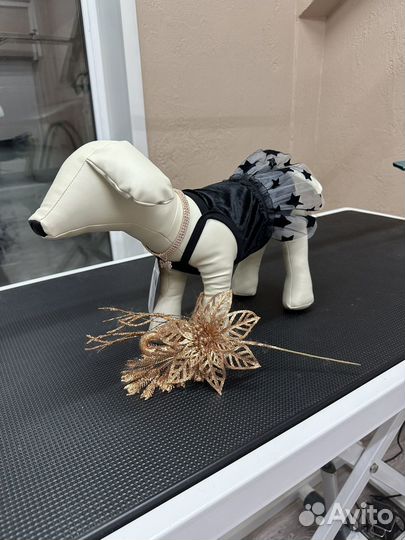 Вещи для животных