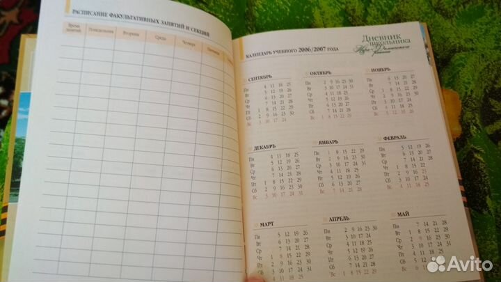 Дневник школьника