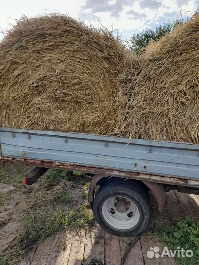 Сено в катушках навоз перег солома