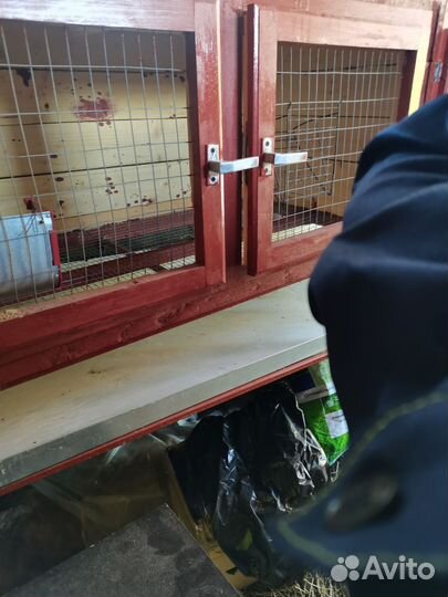 Клетки для кроликов большие