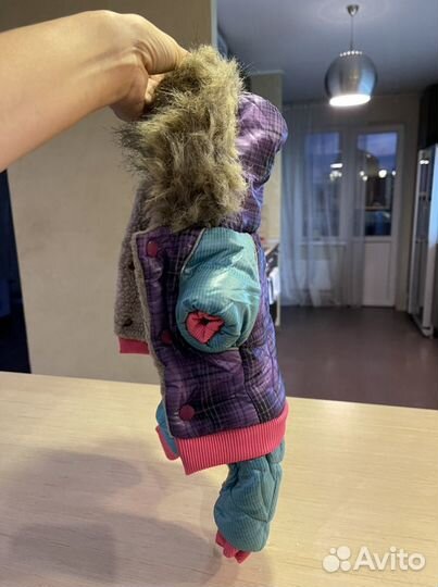 Комбинезон для маленькой собаки