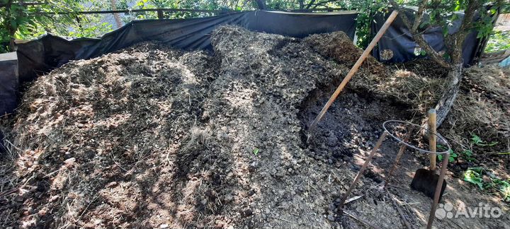 Конский навоз