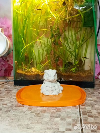 Статуэтка дракон