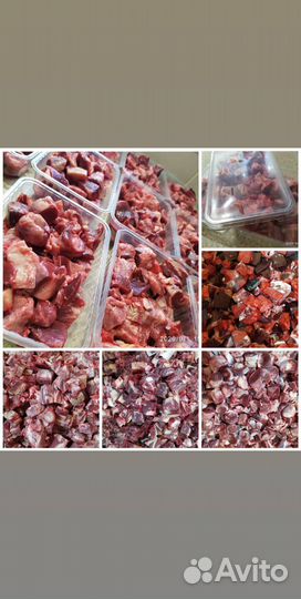 Рационы для животных