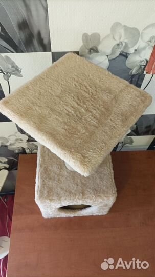 Когтеточка для кошки с домиком