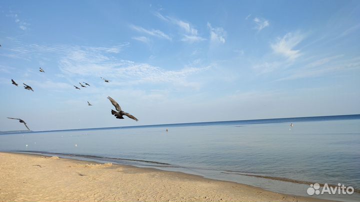 Найду жильё в Калининграде и области