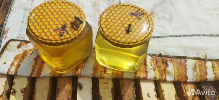 Натуральный мёд