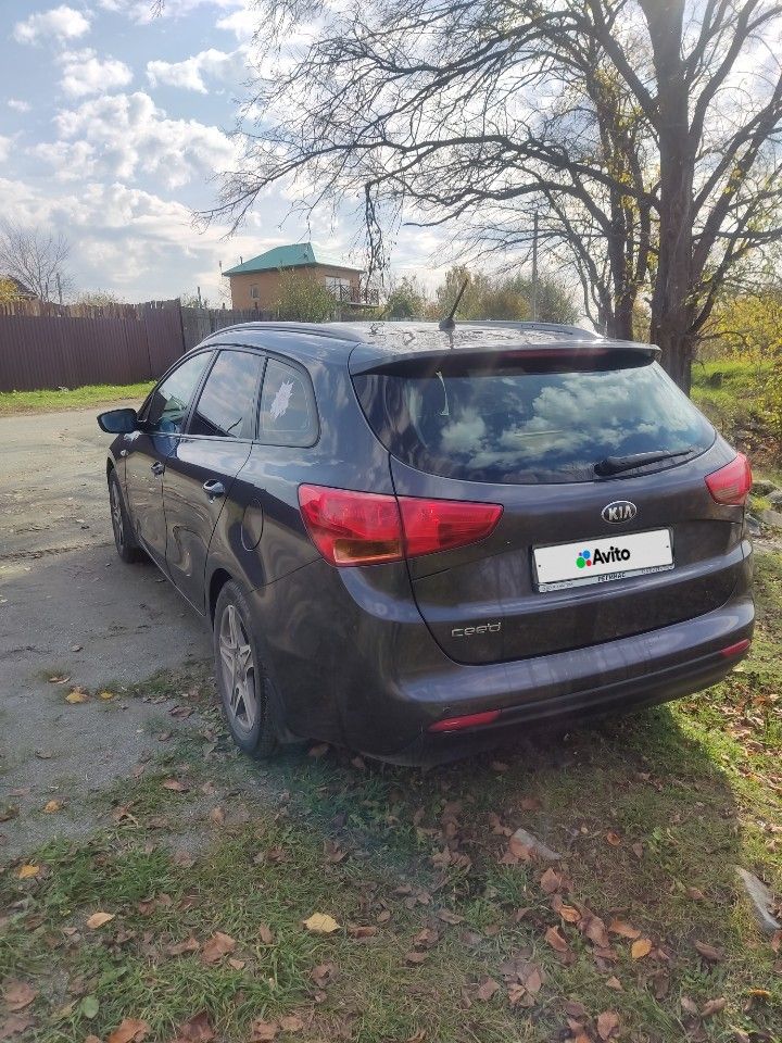 Kia Ceed: фото владельца