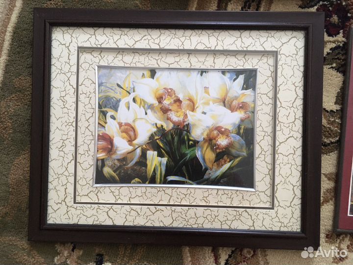 Репродукции на картоне,в рамках