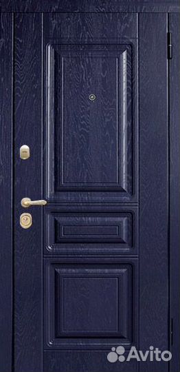 Дверь Входная с Терморазрывом Ржавки