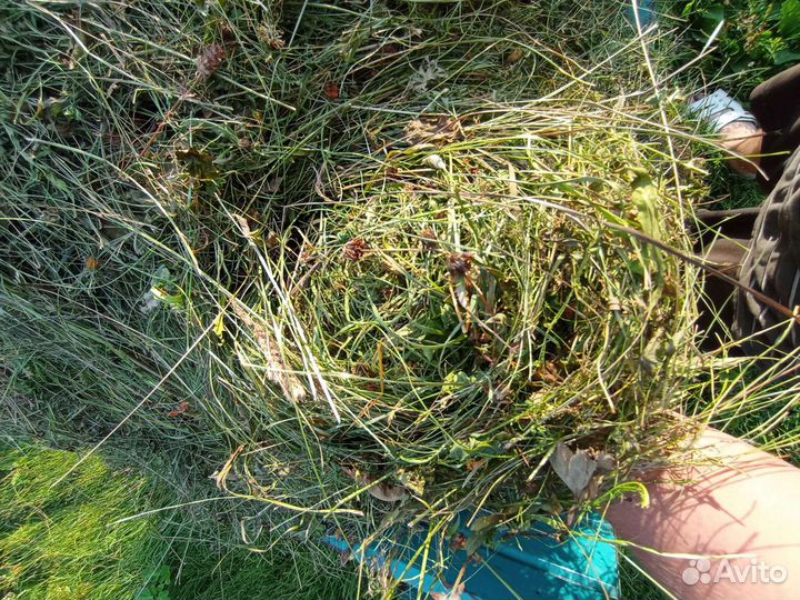 Сено в мешках