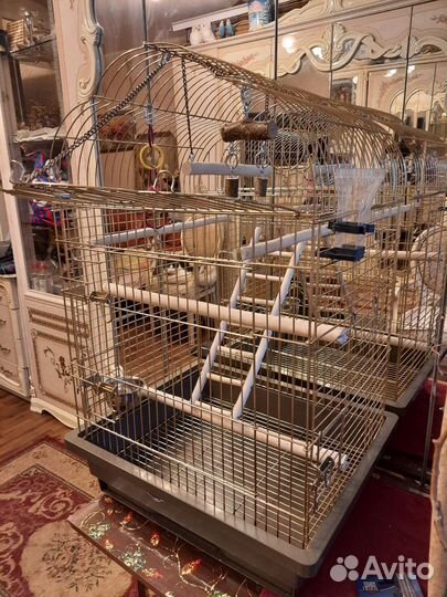 Клетка для птиц, попугая