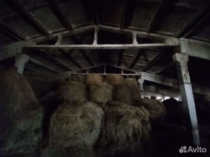 Продам сено в тюках