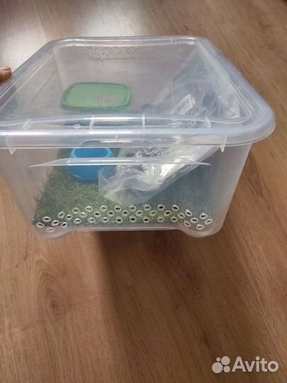 Террариум для содержания рептилий