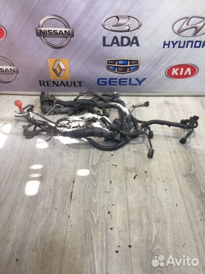 Проводка подкапотная двигателя Nissan tiida