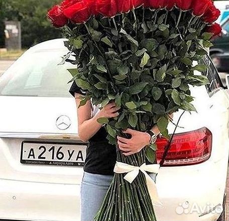 Розы гиганты 140 150 160 170 180 200