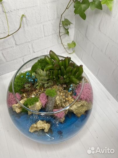 Флорариум со светящимся водоемом и суккулентами