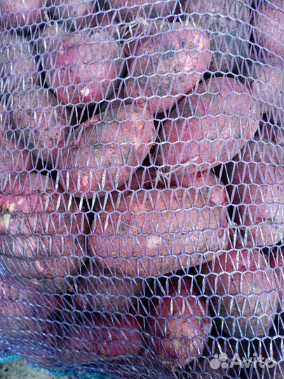 Продам картофель