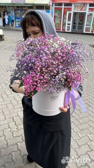 Гипсофила в коробке