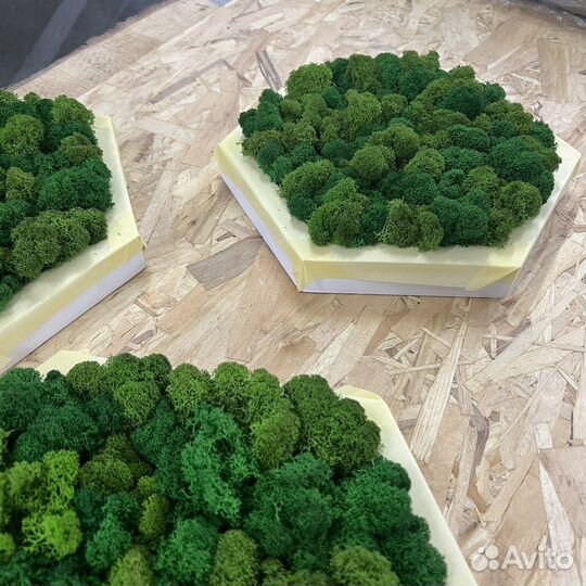 Панно из мха