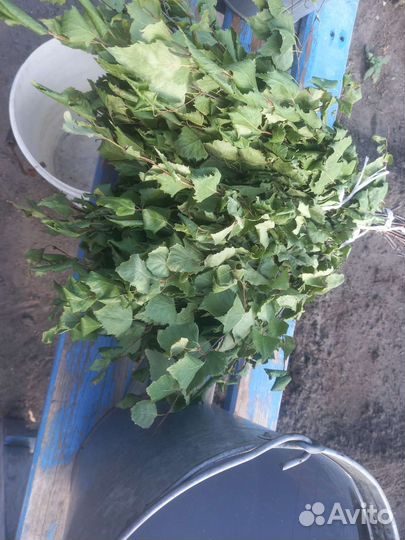 Веники для бани берёзовый