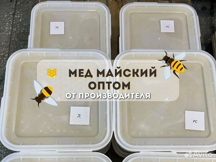 Свежий мёд Майский. Качка 2023 г. Оптом