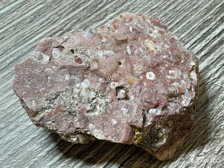 Окаменелое дно озера. Пермский период