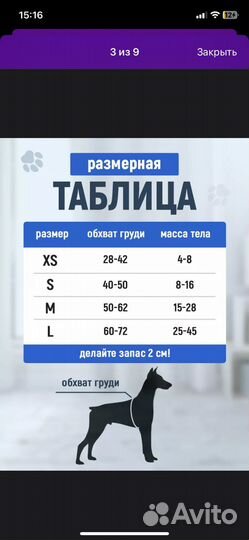 Шлейка для собаки