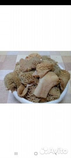 Мясо говядина для собак