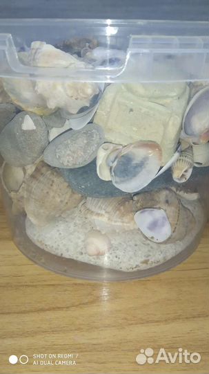 Морские ракушки, камни, градусник, кормушка