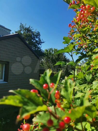 Участок 5 сот. (СНТ, ДНП)