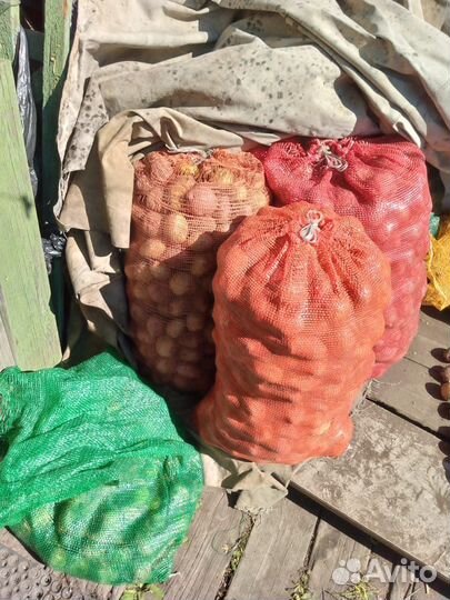 Продам картофель