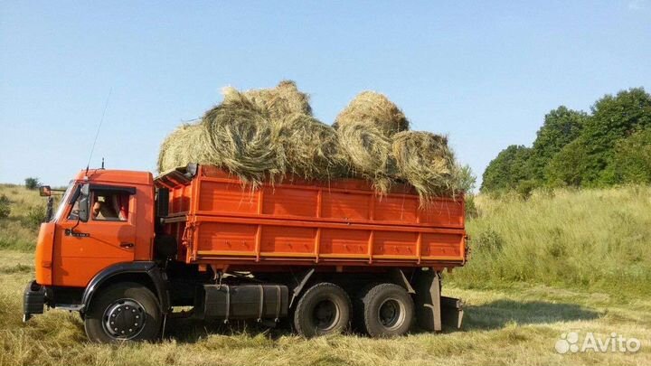 Сено в тюках, атава