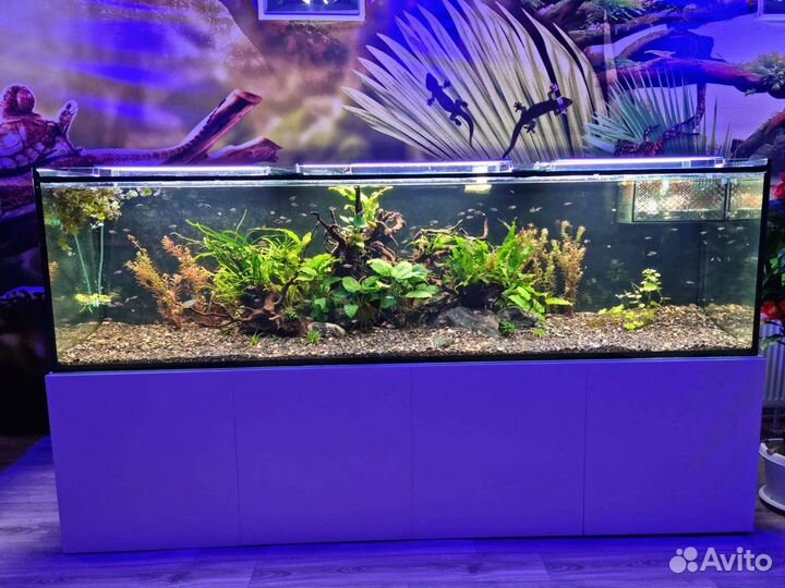Аквариум террариум черепашник Краснодар