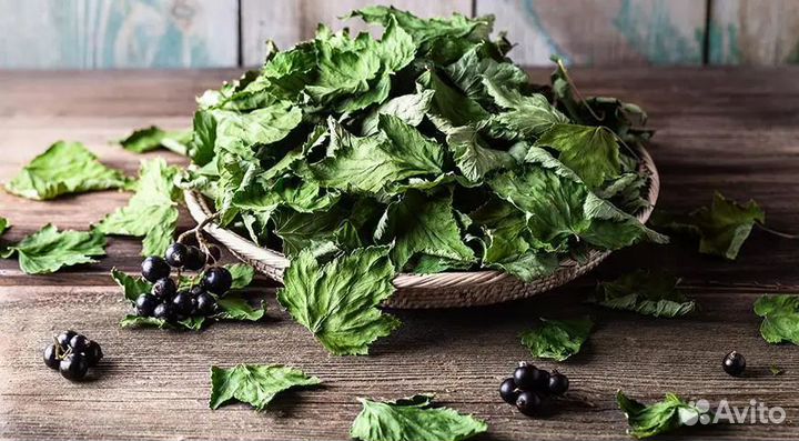 Травы для чая