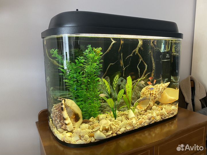 Аквариум для рыбок 85л