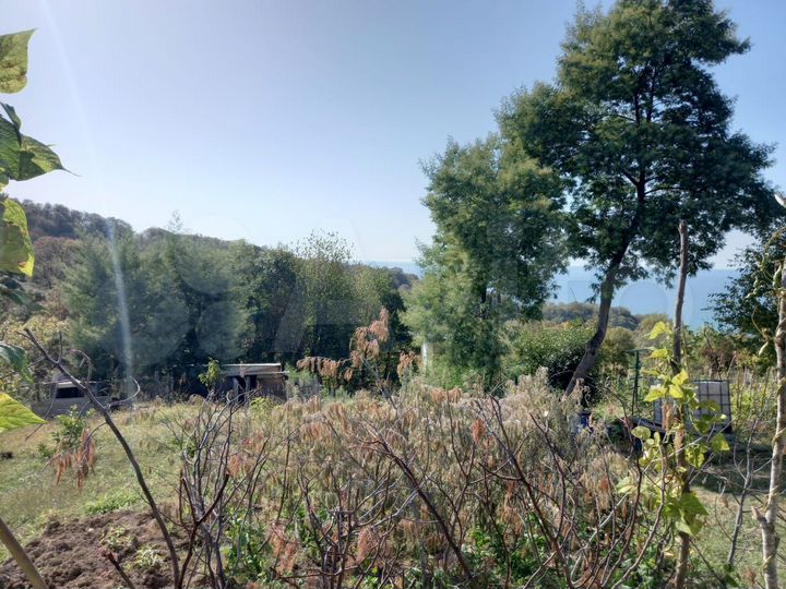 Участок 20 сот. (ИЖС)