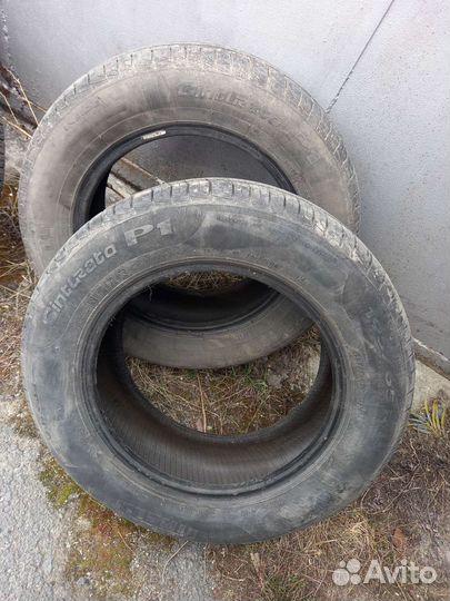 Pirelli Cinturato P1 5/65 R15