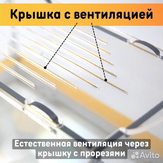 Муравьиная ферма 