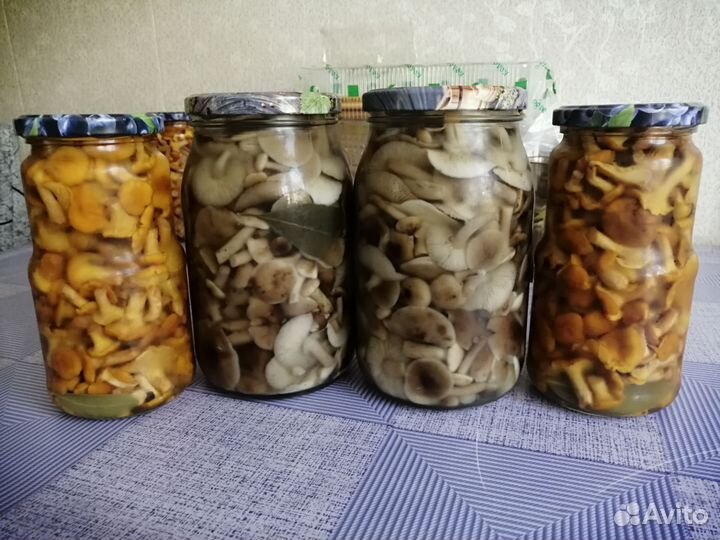 Грибы маринованные, перец, чага